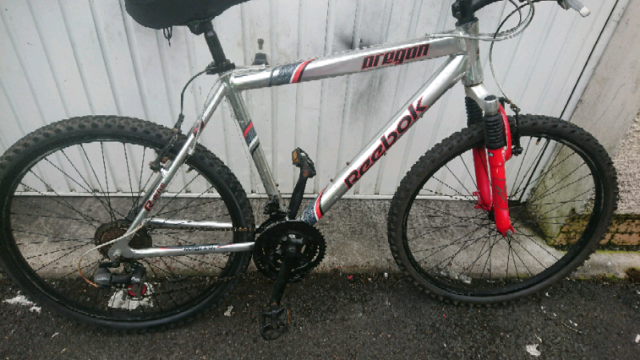 reebok men's mountain bike
